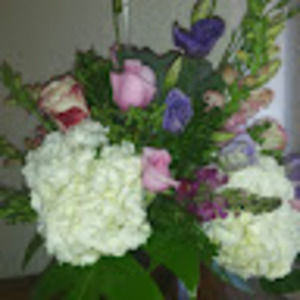 Meet your Posher, Simi